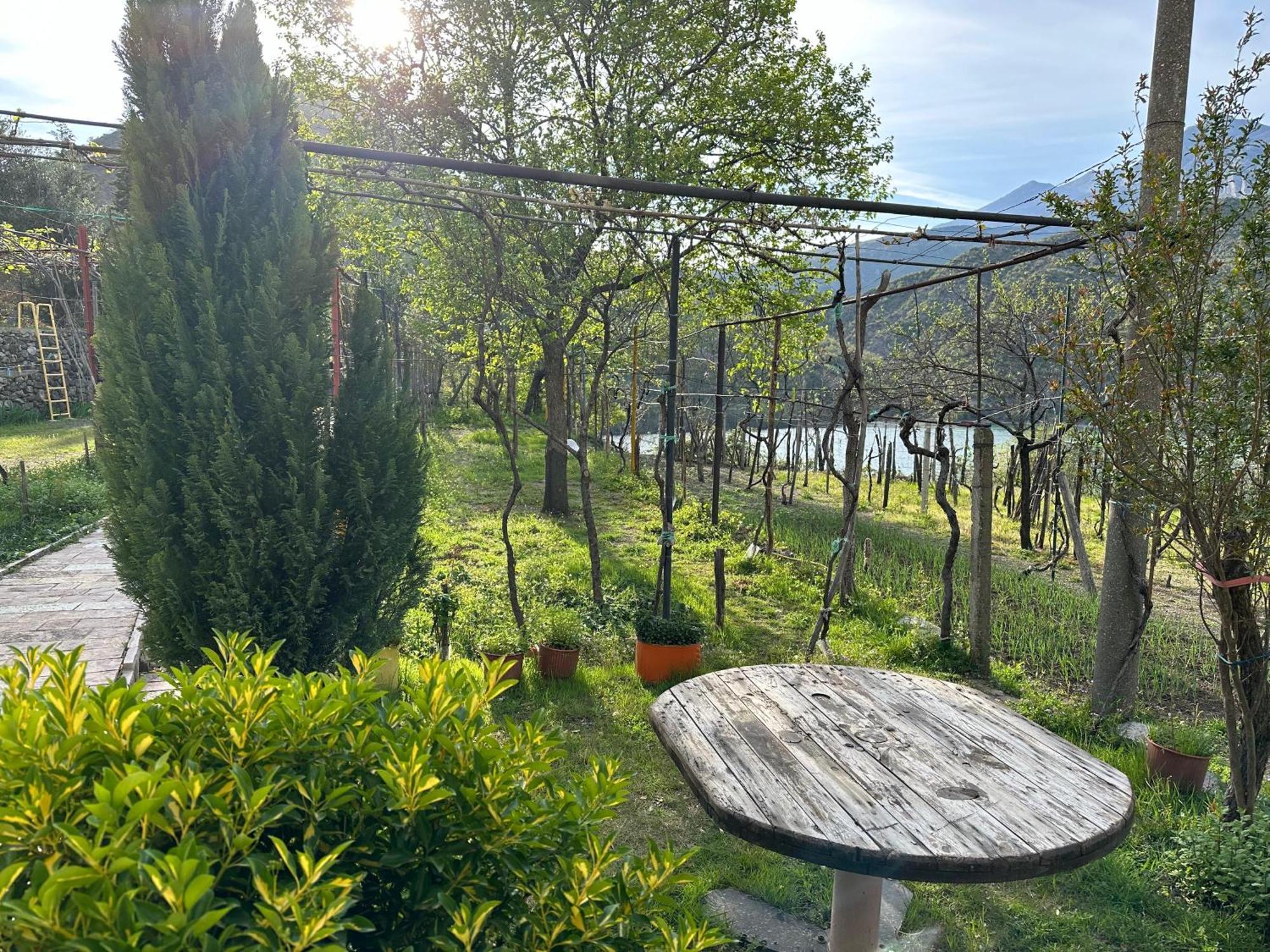 Lakeview Escape Koman Eksteriør billede